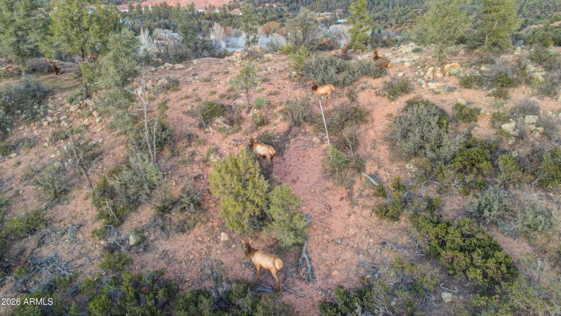 mls-dji_fly_20251229_172930_655_17672100