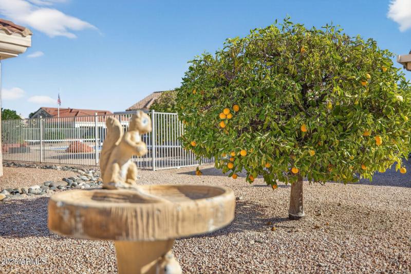 52-web-or-mls-054_IMG_5590