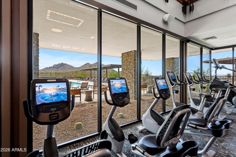 82-Saguaro-Sun City Festival (12)