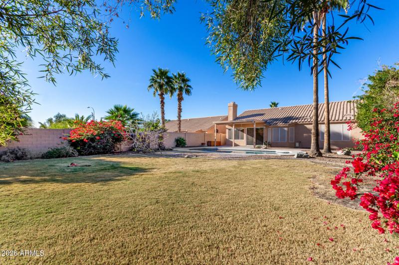 Real Grass for Your Pets