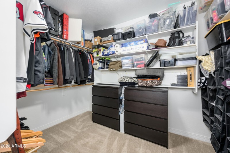 40-web-or-mls-Creosote-9