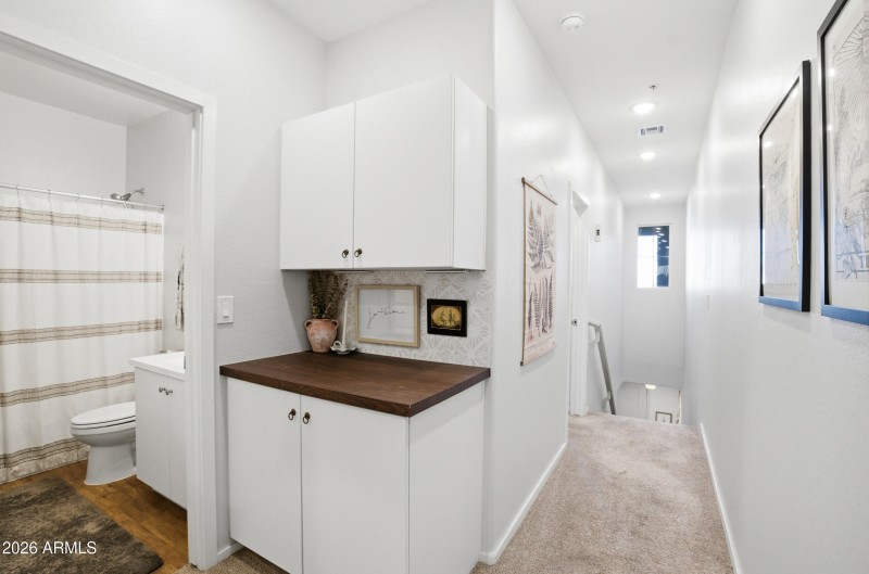 Guest Bathroom Off Hallway