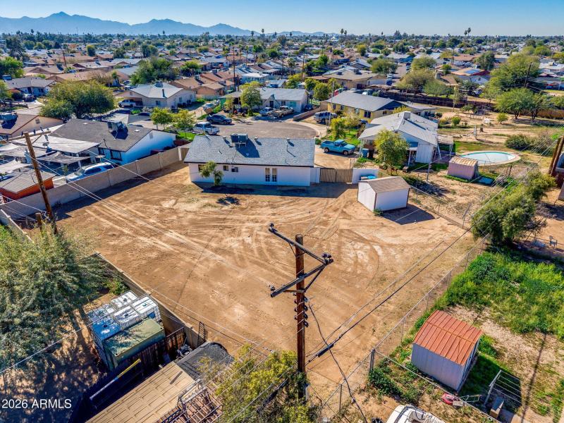 EXTRA LARGE BACKYARD