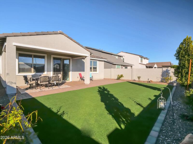 Your View From the Back Fenc