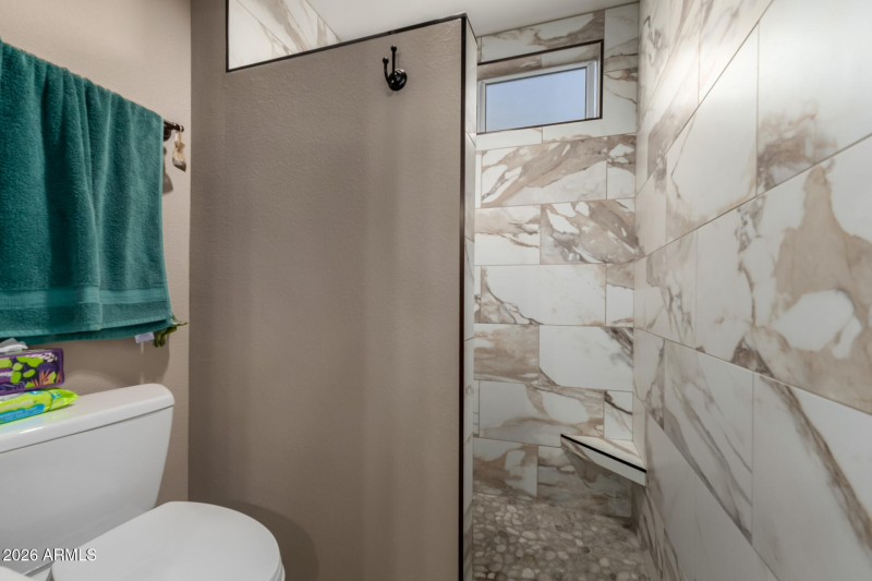 Updated Primary Shower