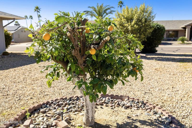 56-web-or-mls-_TM_0175