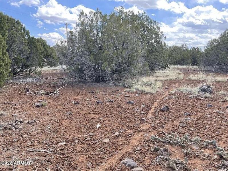 68441d5a260a627ce7f659f50c871227-cc_ft_7