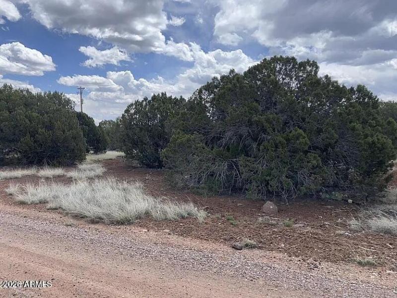 17d94e58819b7e7c9bf2075ee63339ce-cc_ft_7