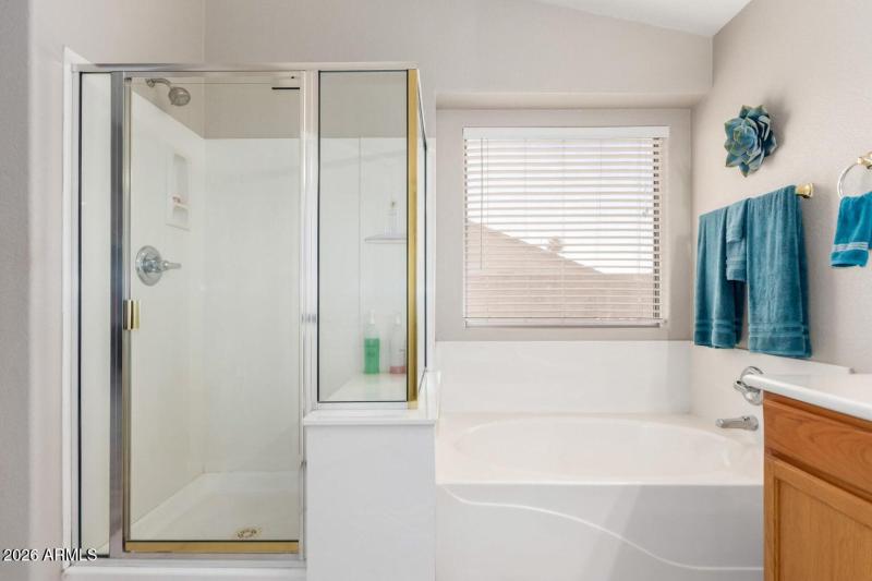 Separate Tub and Shower