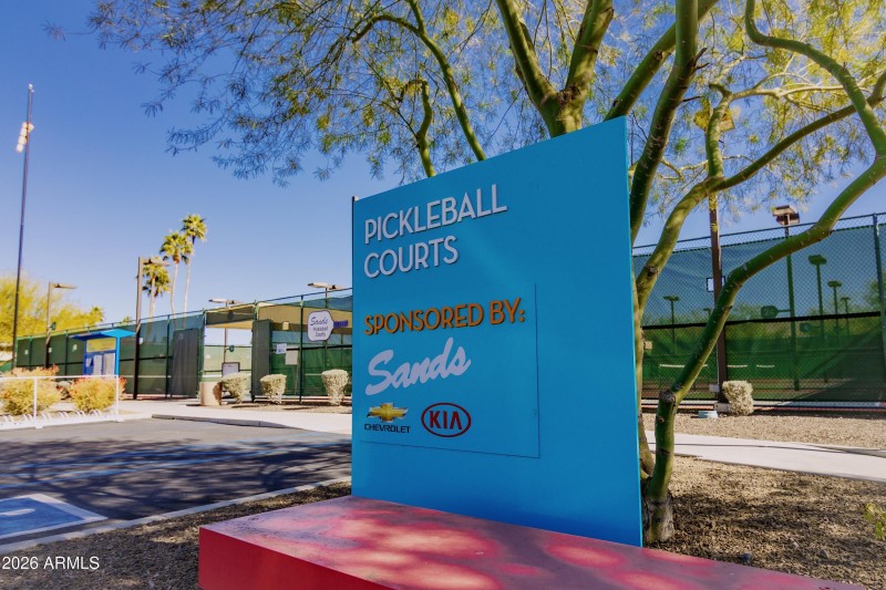Pickle ball