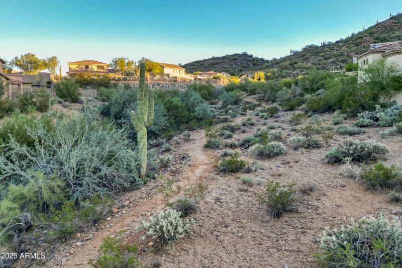 136-print-Listerpros-136