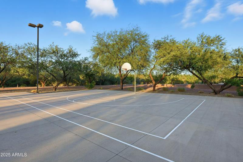 77-print-Listerpros-77