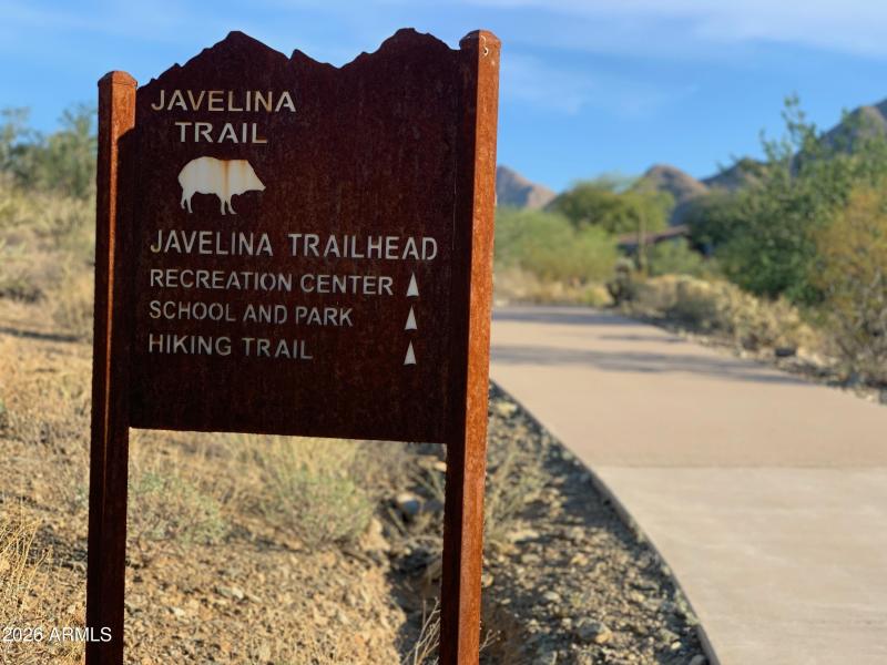 MMR Javelina Trail