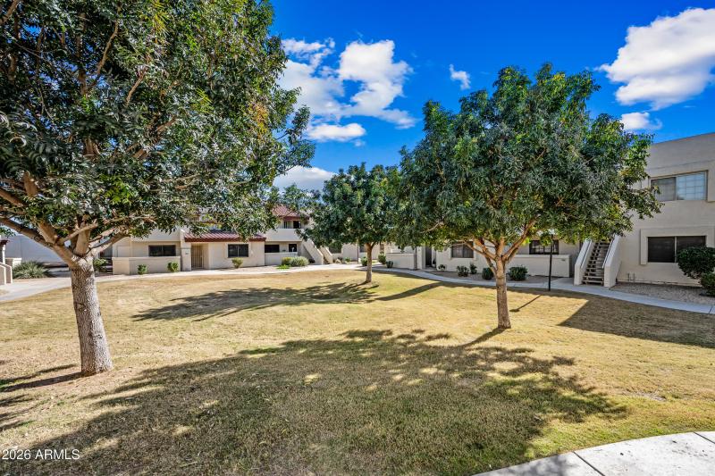 32-2020WUHD211-ocupix-