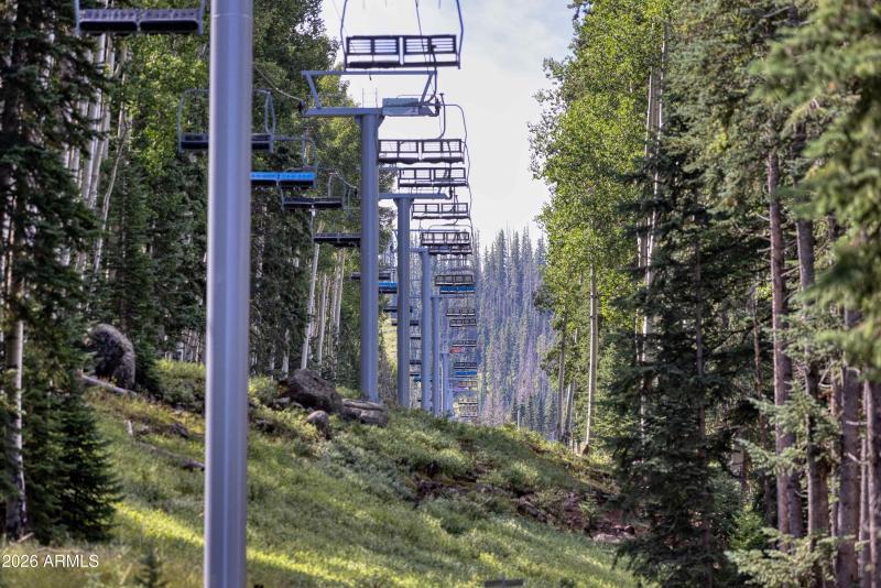 035_photo35_1460_adair_6_pinetop_lansten