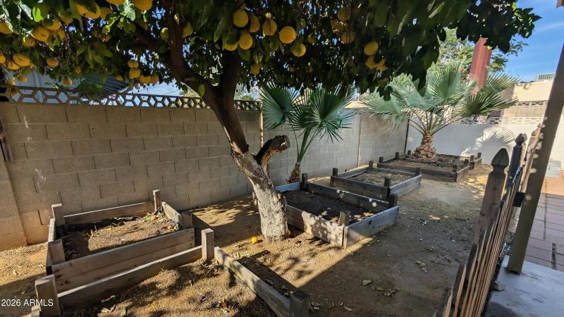 PXL_20260112_194250698.RAW-01.COVER~2