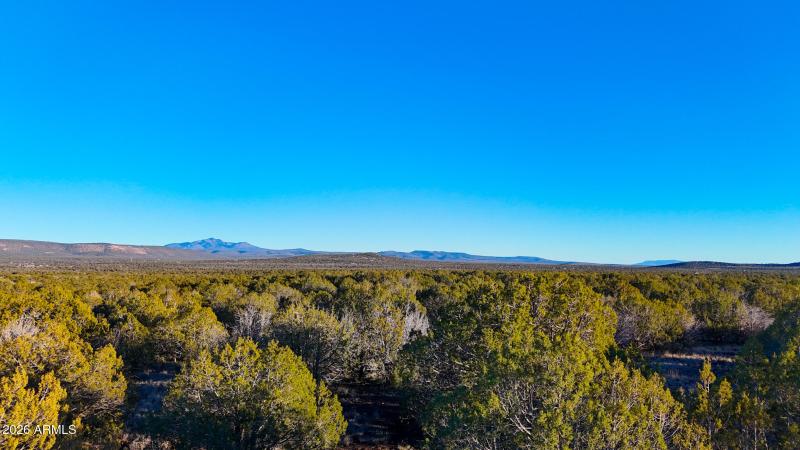 dji_fly_20260116_165600_0249_17686731217