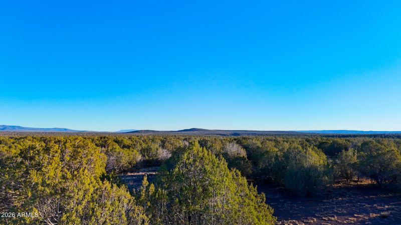 dji_fly_20260116_165558_0248_17686731219