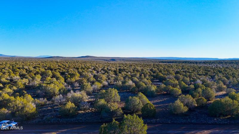 dji_fly_20260116_165544_0244_17686731231