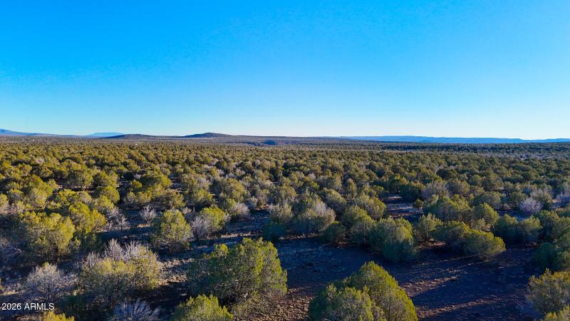 dji_fly_20260116_165546_0245_17686731230