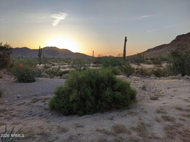 101551656_555800871744817_19980296523664