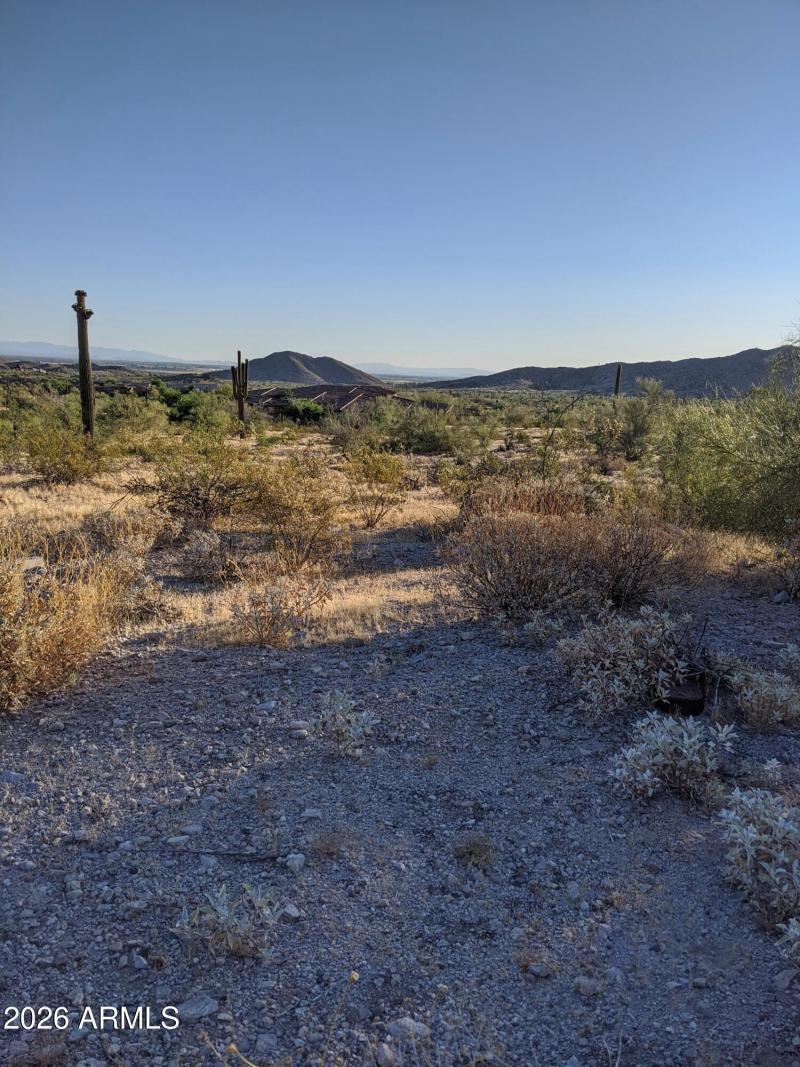 99423279_3114620345269641_13781630672164