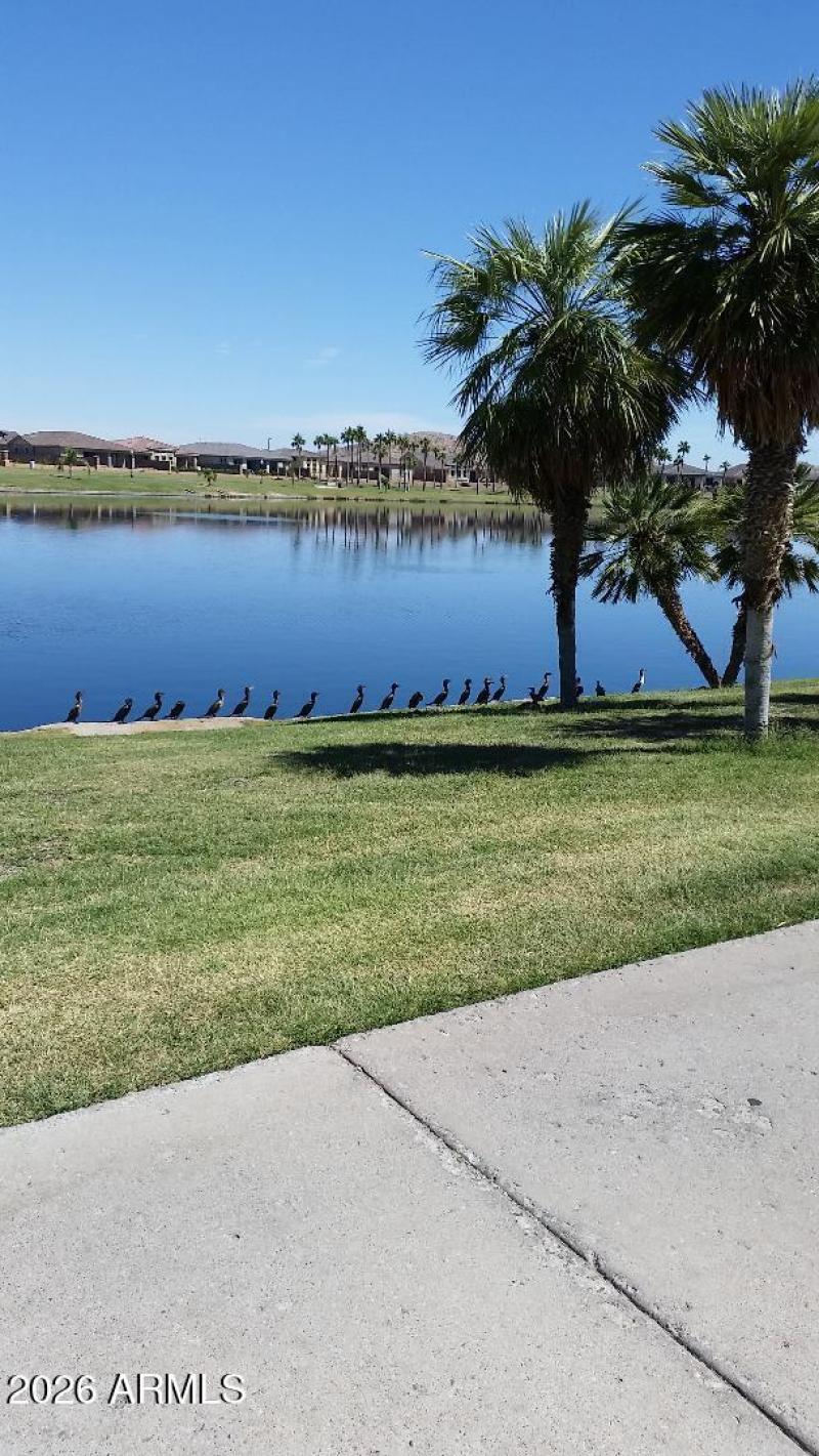 537010283_1445745183262779_7968094545619