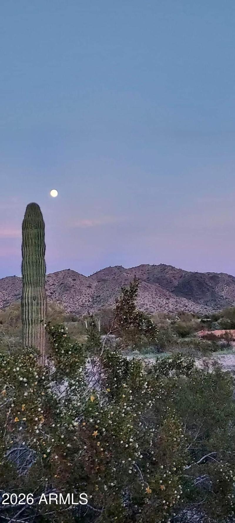 537146642_1303610754684037_5161700482091