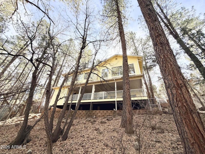 Rear View