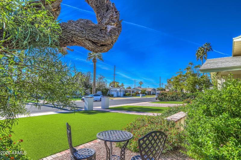 Front Yard Newly Landscaped