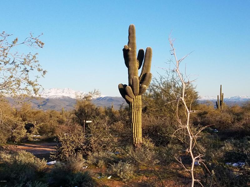 SNOW ON THE MOUNTAINS