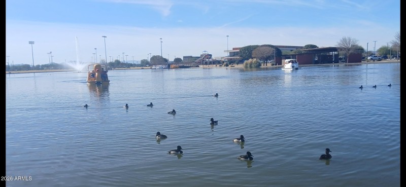 Screenshot_20260119_192608_Gallery