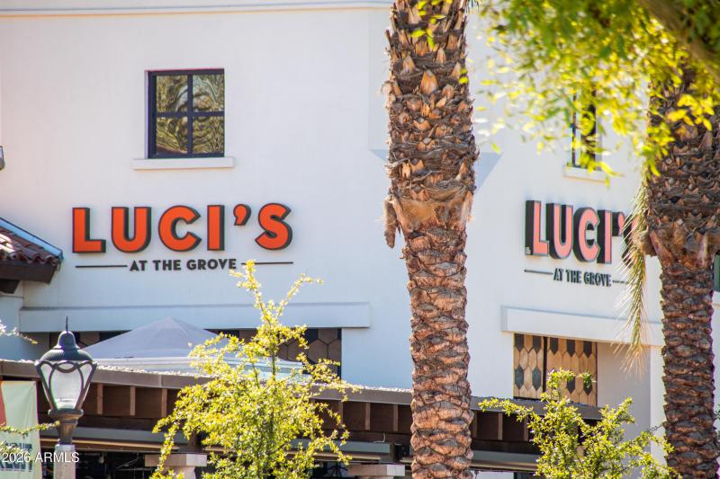 8553 East Vía de Sereno-102