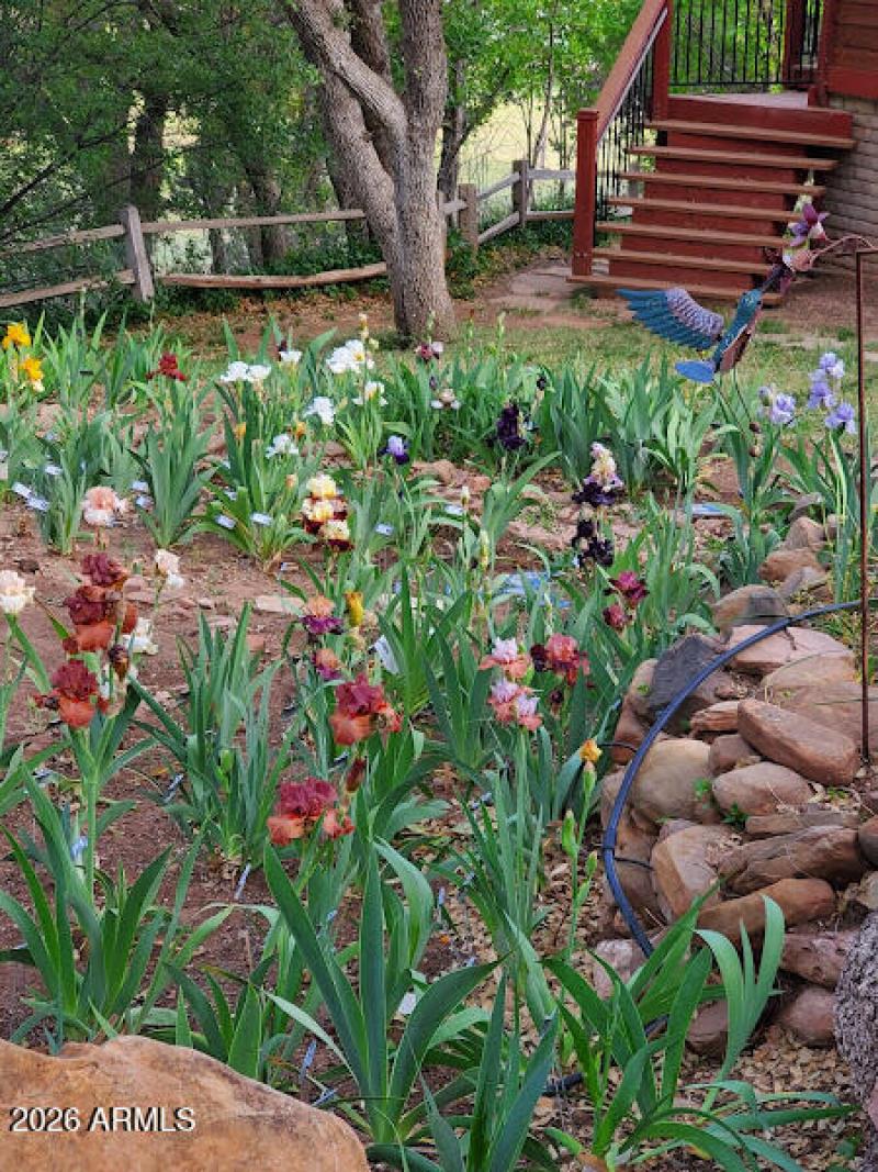 contemporary garden front yard