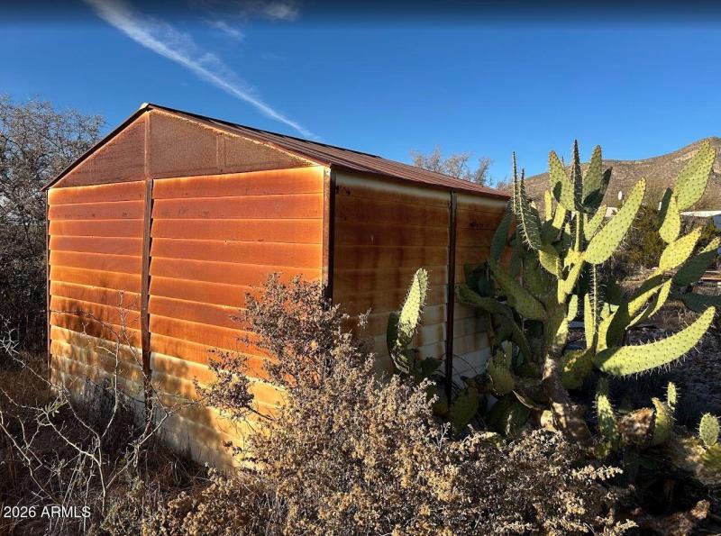 Storage Shed and Cactus