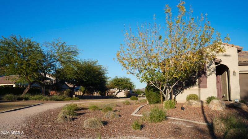 Walking Path Greenbelt