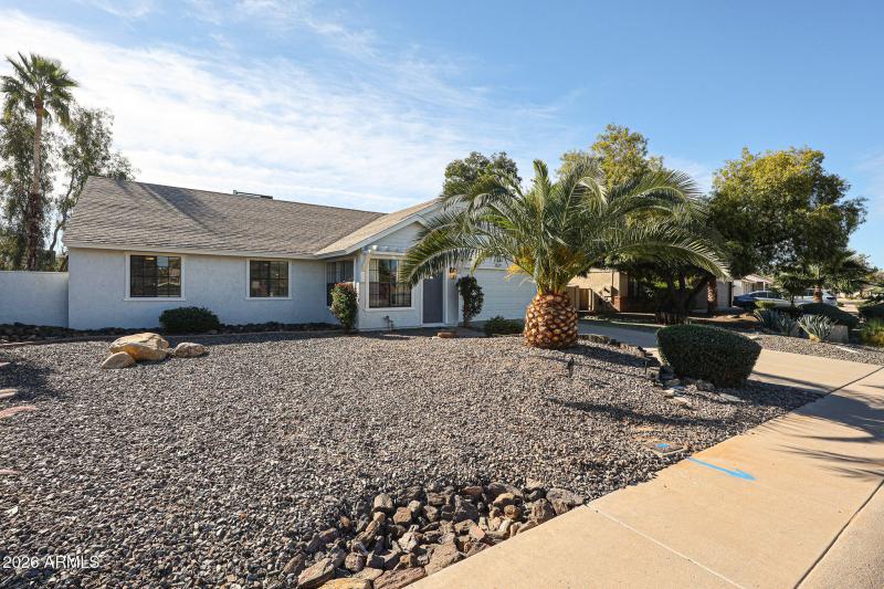 Low Maintenance Desert Landscaping