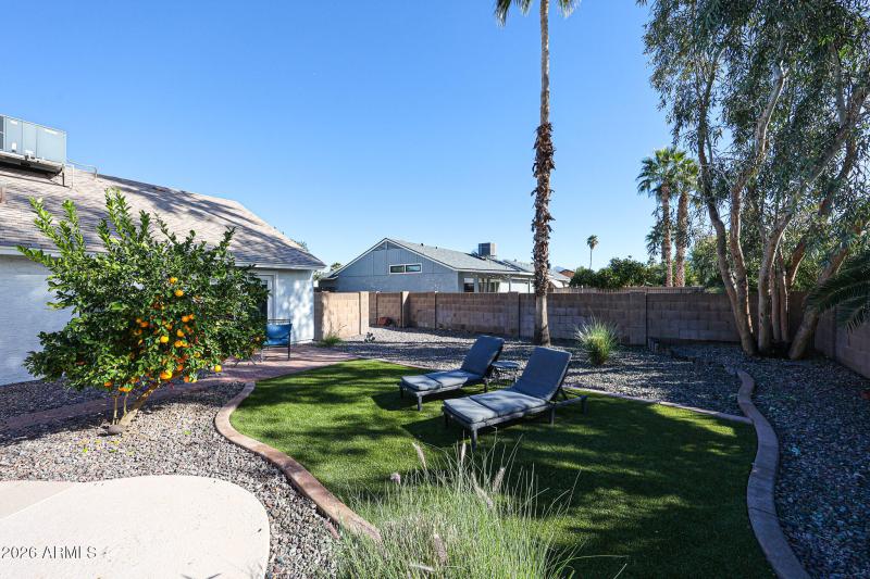 Citrus Trees and Turf