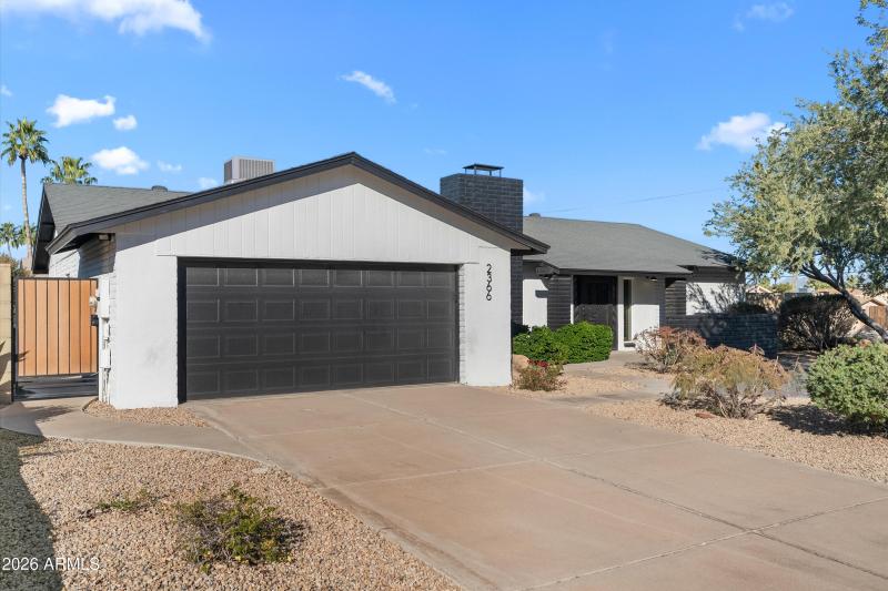 32-20260119-DSC04515