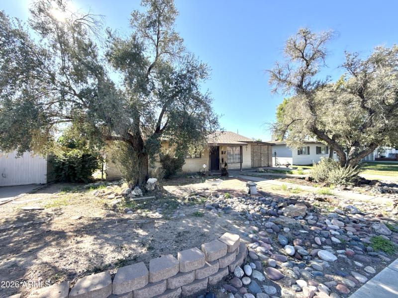 DJI_20260116_113655_240 (1)