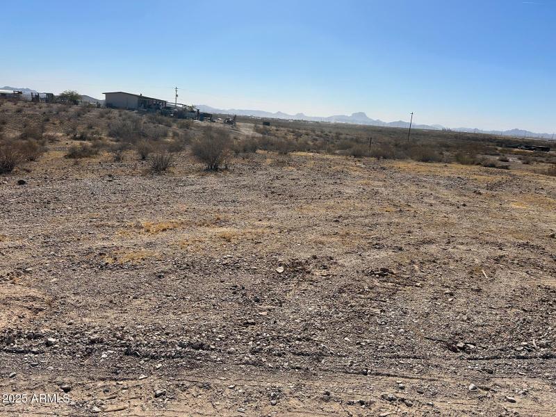 WhatsApp Image 2025-02-20 at 10.02.53 AM