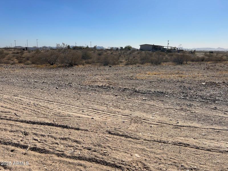 WhatsApp Image 2025-02-20 at 10.02.53 AM