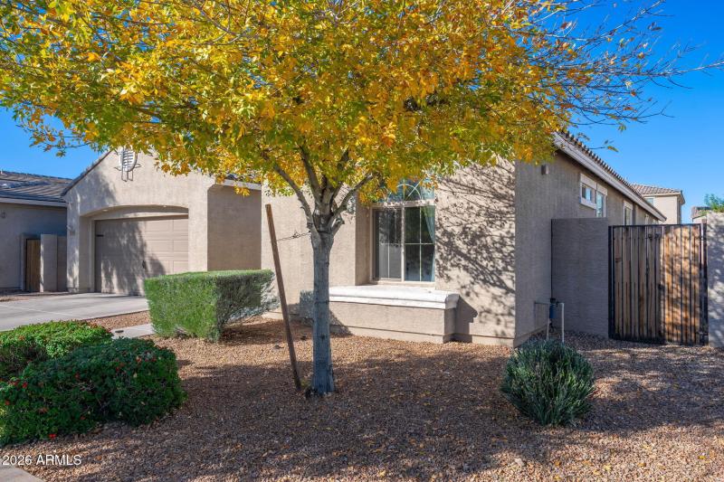 23108 E Via Del Oro - 03