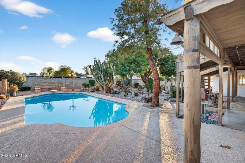 Huge south facing backyard