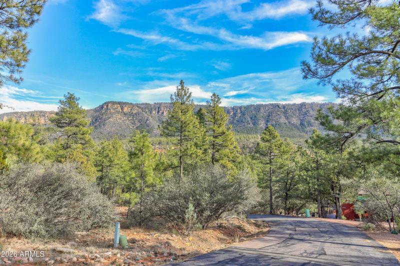 mls-1E0A5375_6_7_8_9 copy 2