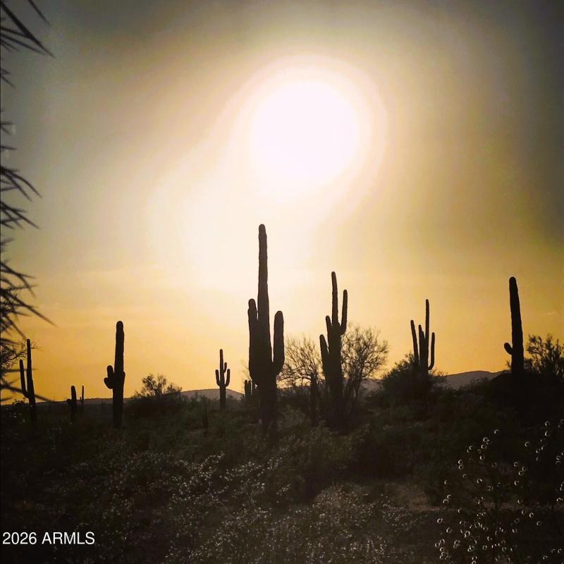 SONORAN MNT RANCH DESERT SUN