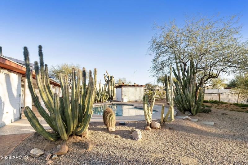 15-web-or-mls-DLB_3940