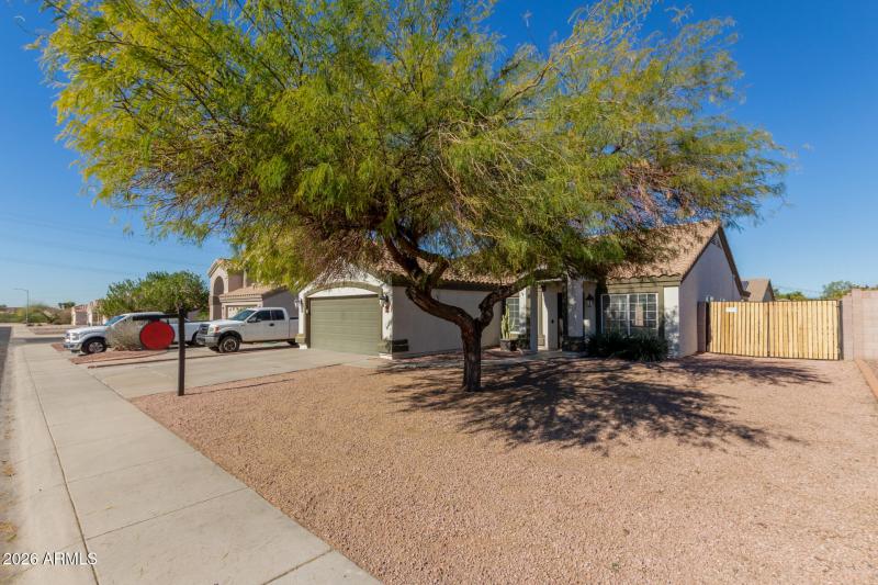 05 - Mystic Sadie 11126