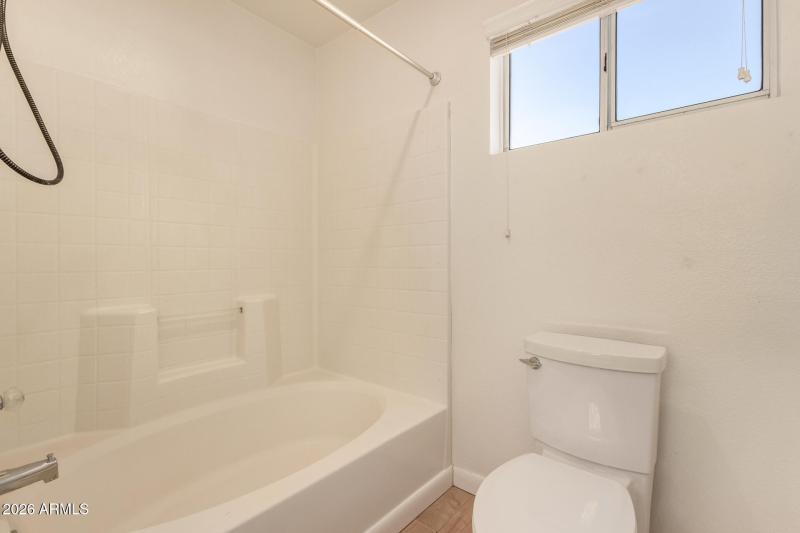 20 - Mystic Sadie 11126