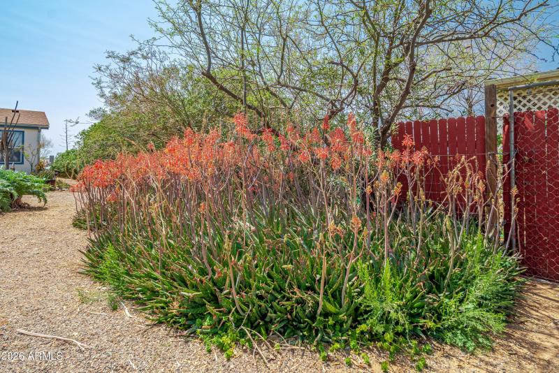 22780 W Sunrise Rd 00012